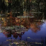Reflets d'arbres et de nénuphars dans un étang