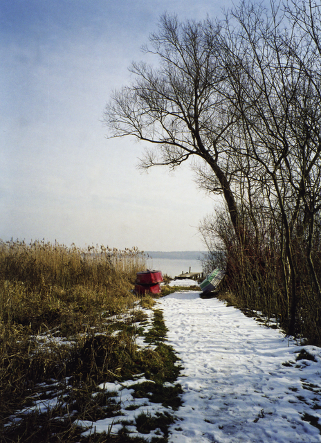 AKG418407.webp Chemin enneigé vers un lac avec barques et arbres en hiver – Image 1