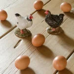 Figurines de poules et œufs sur une table en bois
