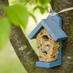 Nichoir en bois bleu avec graines pour oiseaux