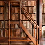 Bibliothèque avec échelle en bois antique