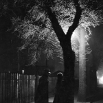 Silhouettes sous un arbre éclairé la nuit