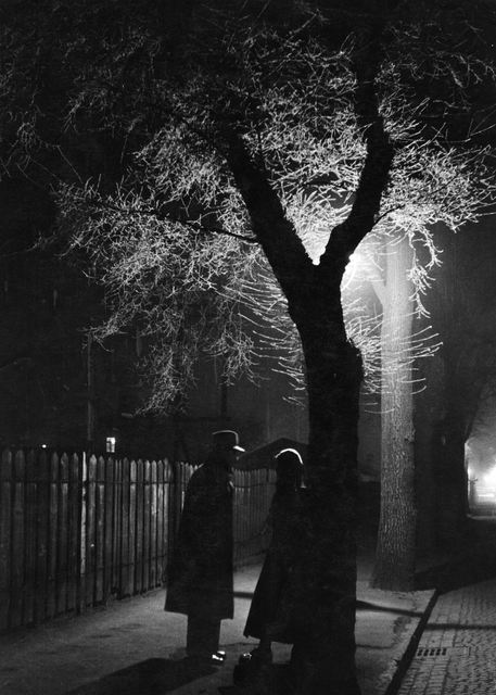 AKG4227459.webp Silhouettes sous un arbre éclairé la nuit – Image 1