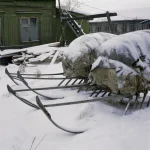 Vieilles Traîneaux Sous la Neige