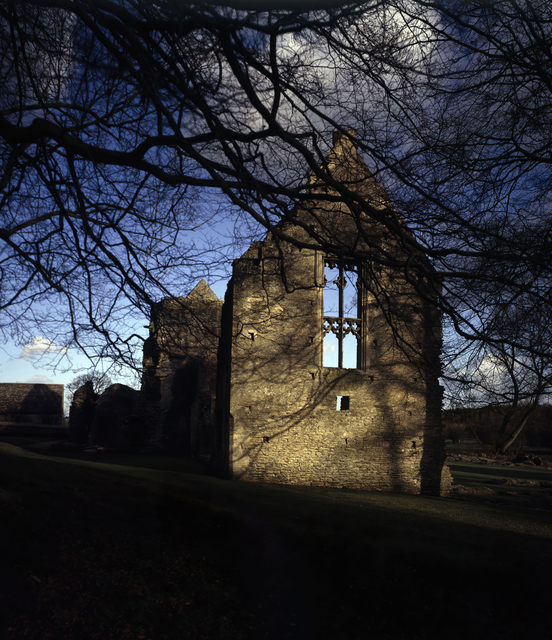 AKG442448.webp Ruine d'un bâtiment ancien éclairé par le soleil derrière des arbres en hiver – Image 1
