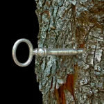 Clé en métal insérée dans un tronc d'arbre