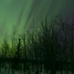Lumières boréales dans la forêt enneigée