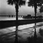 Palmier au bord d'un fleuve au crépuscule