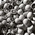 Agrumes fraîchement coupés en noir et blanc