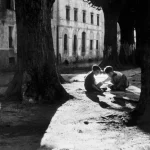 Enfants jouant sous les arbres dans une rue européenne