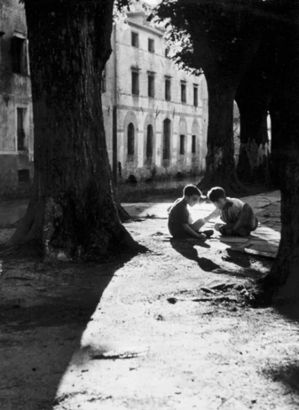 Enfants jouant sous les arbres dans une rue européenne