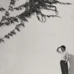 Personne observant des plantes grimpantes sur un mur