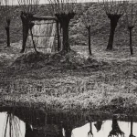 Paysage rural avec cycliste et arbres réfléchis dans l'eau