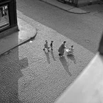 Famille se promenant dans une rue pavée vue en plongée