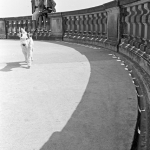 Enfants assis sur un mur avec un chien au premier plan