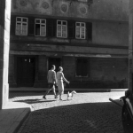 Couple marchant avec un chien dans une rue pavée