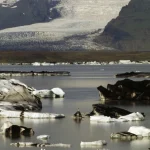 Glaciers et Icebergs dans un Paysage de Montagne
