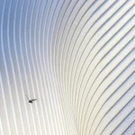 Oiseau volant devant architecture moderne