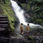 Deux enfants explorant une chute d'eau en forêt