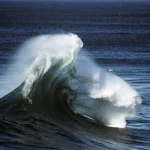 Vague Puissante avec Oiseau