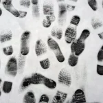 Empreintes de pas dans la neige