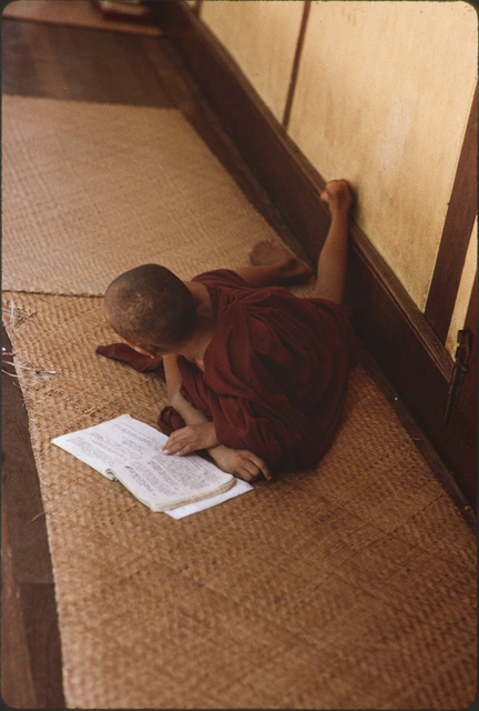 AKG5274705.webp Moine Bouddhiste Lisant à l'Intérieur – Image 1