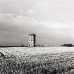 Tour isolée dans un champ de blé