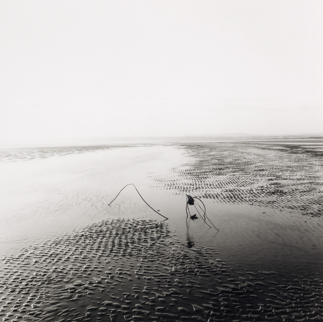 AKG5302955.webp Plage Déserte avec Vagues de Sable et Bâtons – Image 1