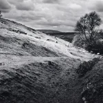 Paysage de colline avec moutons paissant