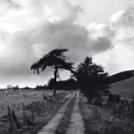 Chemin champêtre sous ciel nuageux