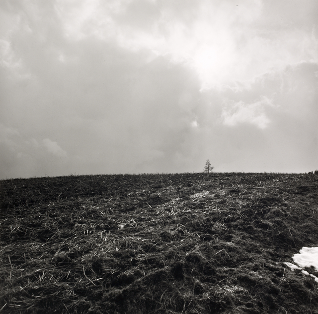 AKG5303392.webp Paysage de champ labouré sous un ciel nuageux – Image 1