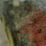 Coeurs Dessinés sur une Fenêtre Empreinte de Buée