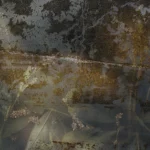 Texture de métal rouillé avec motif floral