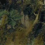 Dense végétation naturelle