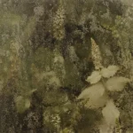 Fleurs de champ couvertes de givre