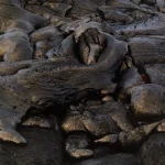 Coulée de lave en train de refroidir