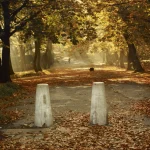 Promenade d'automne dans un parc ensoleillé