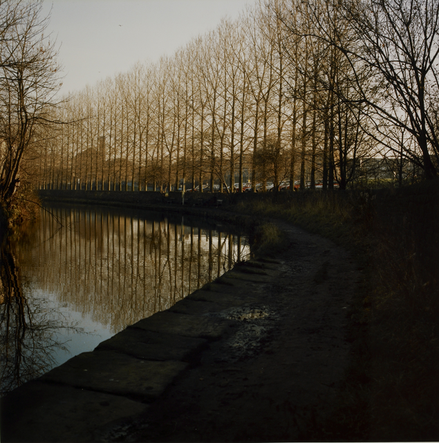 AKG5333827.webp Alignement d'arbres le long d'un canal au crépuscule – Image 1