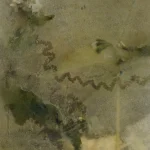 Effet d'aquarelle sur texture florale