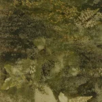 Texture abstraite de flore séchée aux nuances de vert