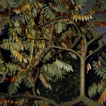 Arbre avec feuillage d'automne