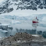 Paysage Antarctique avec Manchots et Navire Rouge