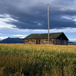 Vieille cabane en bois sous ciel nuageux dans un champ