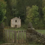 Ancienne maison abandonnée au milieu d'une forêt
