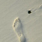 Empreinte de pied sur le sable