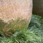 Vieille jarre en terre cuite avec mousse et herbe verte