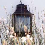 Lanterne murale noire derrière des fleurs