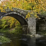 Pont en pierre sur une rivière en forêt automnale