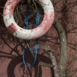 Bouée de sauvetage accrochée à un arbre sec