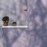 Plantes en pots sur une façade violette avec ombrages